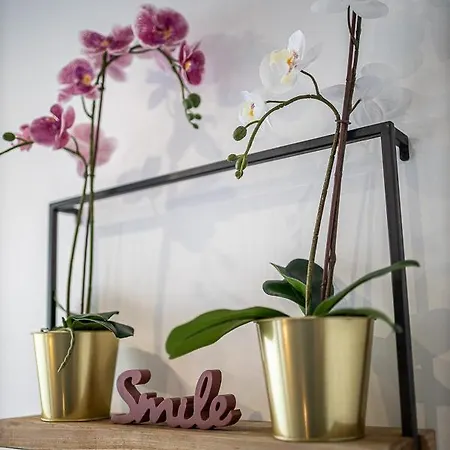 Escape Time - Paris Appartement